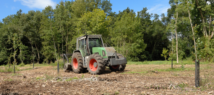 Investissement Forestier